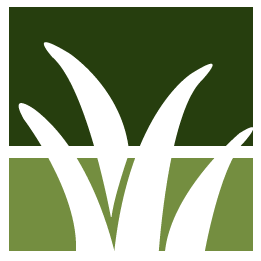 Storm Debris Cleanup Pros