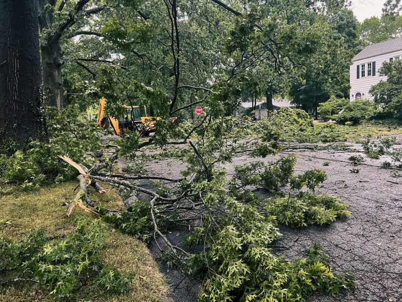 Storm Debris Cleanup