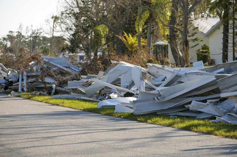 Storm Debris Cleanup