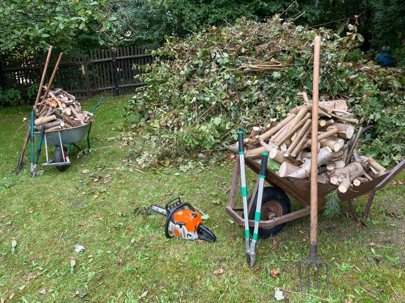 Storm Debris Cleanup