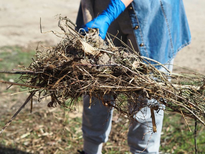Storm Debris Cleanup