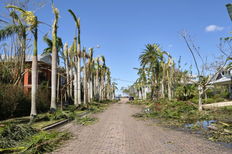 Licensed Storm Debris Removal Experts